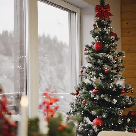 Forest Cliff * Slavsko